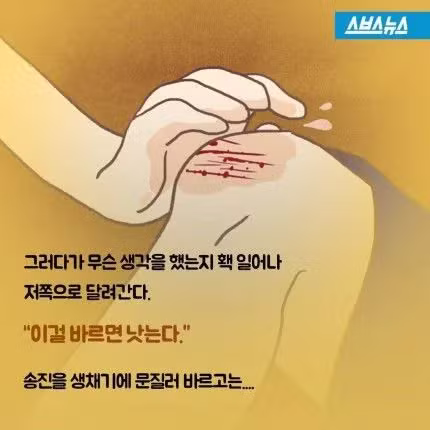 소설 소나기 속 소녀가 죽은 이유 - 보배드림 인기글 이미지 3 - 밈카세