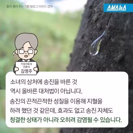 소설 소나기 속 소녀가 죽은 이유 - 보배드림 인기글 이미지 4 - 밈카세