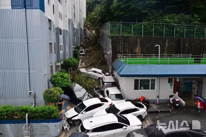 거제도 강수량 900mm가 비현실적으로 느껴지는 이유 - 인스티즈 인기글 이미지 6 - 밈카세