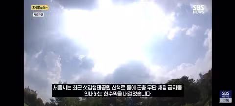 한강 샛강공원에서 매미를 싹쓸이하는 중국인들 - 클리앙 인기글 이미지 2 - 밈카세