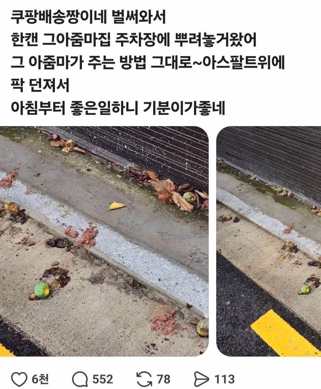 사람들이 싸울 때 억울하게 휩쓸린 고양이 - 뽐뿌 인기글 이미지 2 - 밈카세