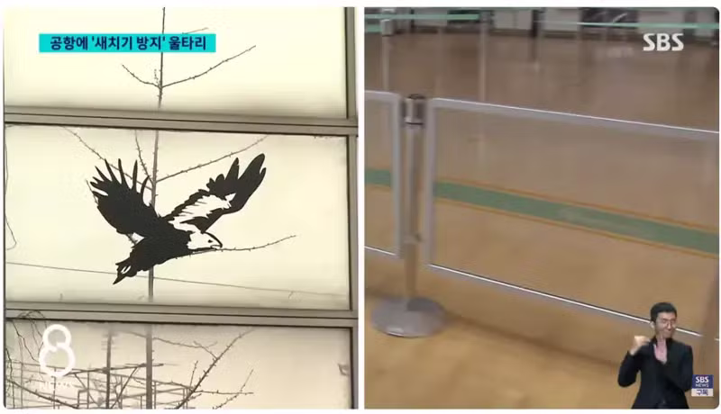 인천공항 새치기 방지 울타리 설치 후 변화된 모습 - 인벤 인기글 이미지 4 - 밈카세