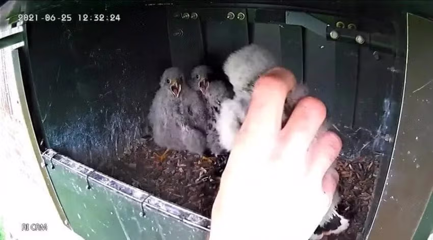 코스믹 호러란 무엇인가.jpg 3