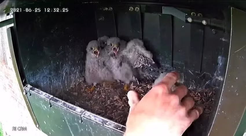 코스믹 호러란 무엇인가.jpg 4