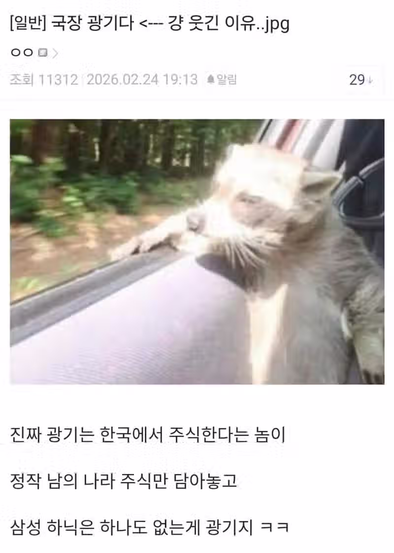 요즘 미국 주식 갤러리 근황 9