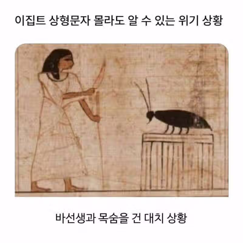 고대 바퀴벌레 크기 수준 2