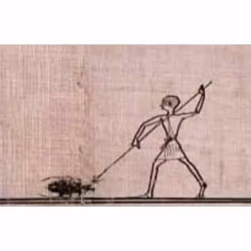 고대 바퀴벌레 크기 수준 3