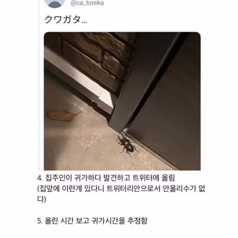 트위터로 빈집터는법 3