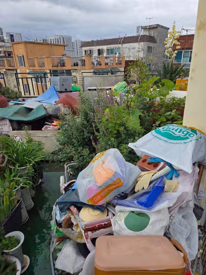 계념없는 모녀  그리고 싸가지없는 사위 9