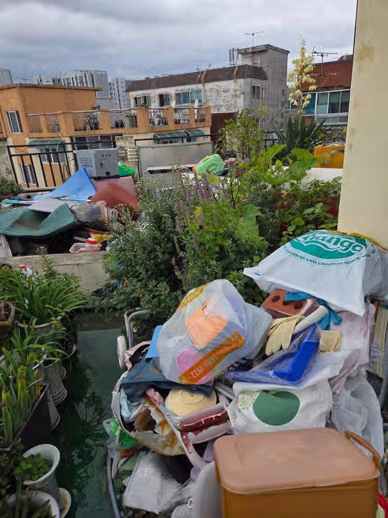 계념없는 모녀  그리고 싸가지없는 사위 3