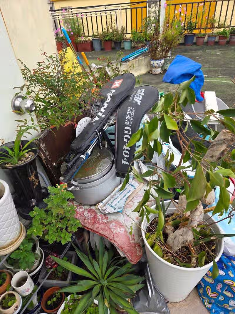 계념없는 모녀  그리고 싸가지없는 사위 10