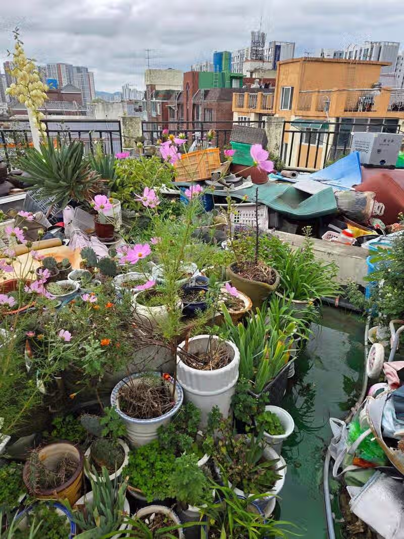 계념없는 모녀  그리고 싸가지없는 사위 2