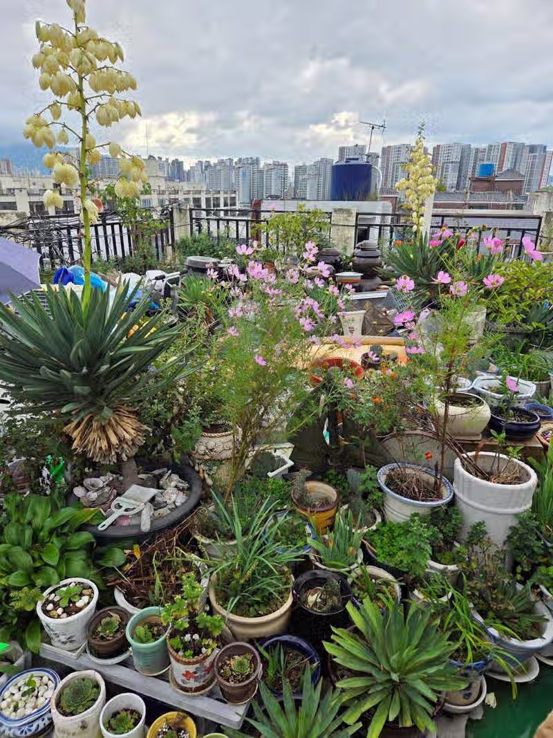 계념없는 모녀  그리고 싸가지없는 사위 5