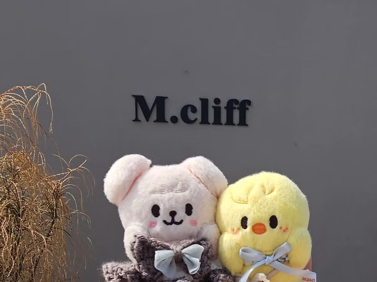 인천 놀러와서 대놓고 강도짓 당했다는 일본인 2