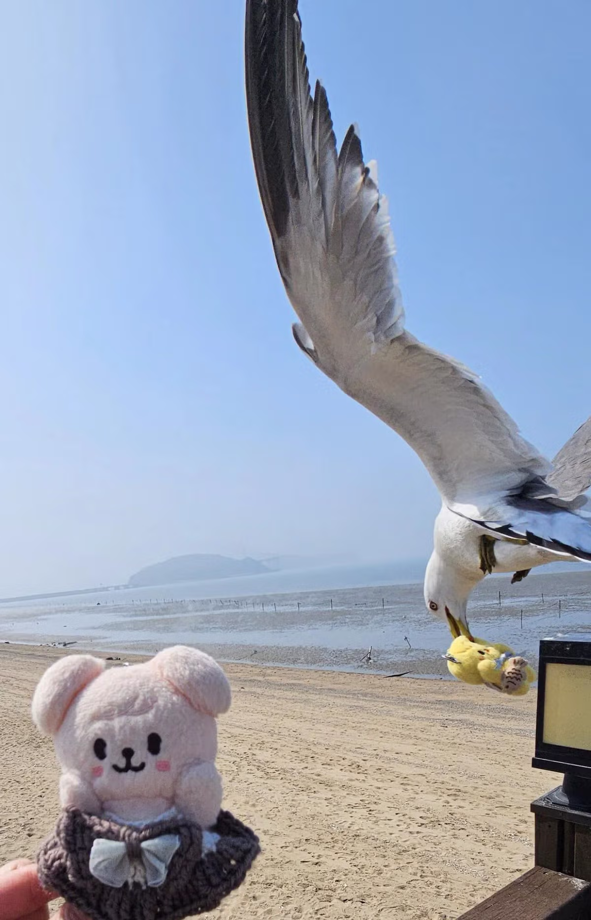 인천 놀러와서 대놓고 강도짓 당했다는 일본인 5