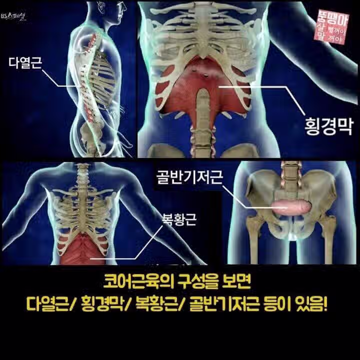 우리몸에서 아주 중요한 코어근육 운동법 3