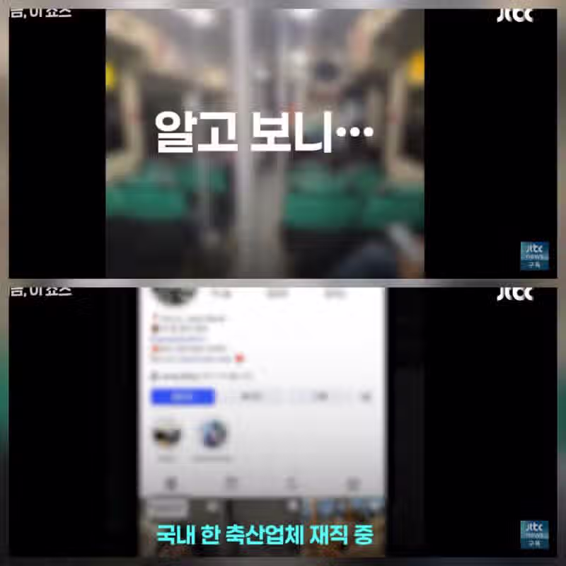 인도네시아 외노자...한국 여학생 성희롱 파문 8