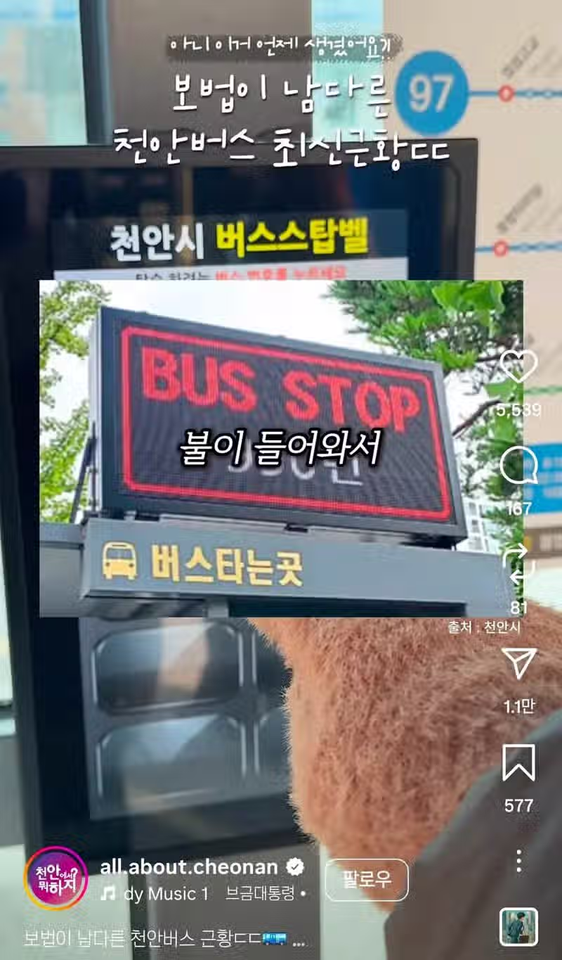 보법이 다른 천안버스 근황 2