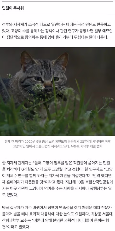 [녹색세상]고양이와 야생조류의 공존 2