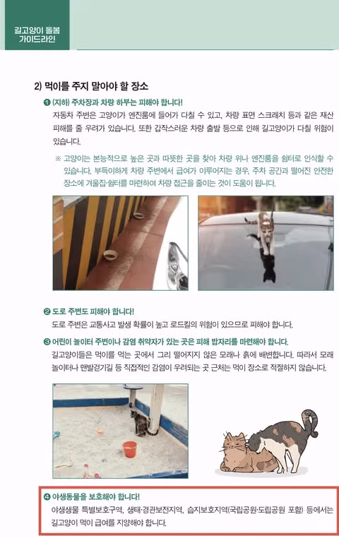 [녹색세상]고양이와 야생조류의 공존 4