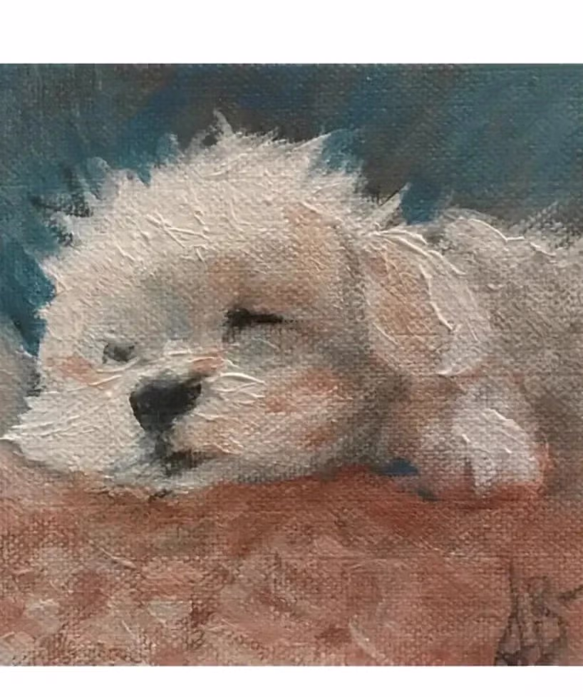 어느 화가 키우던 말티즈를 그리워하면 그린 작품.JPG 3