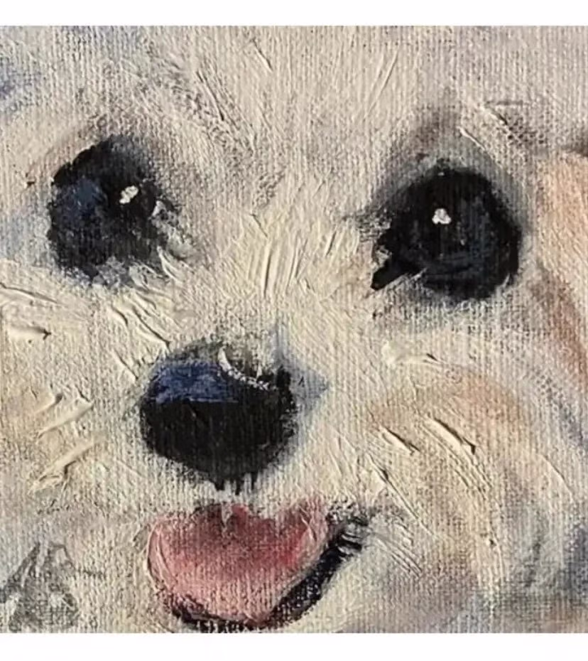 어느 화가 키우던 말티즈를 그리워하면 그린 작품.JPG 5