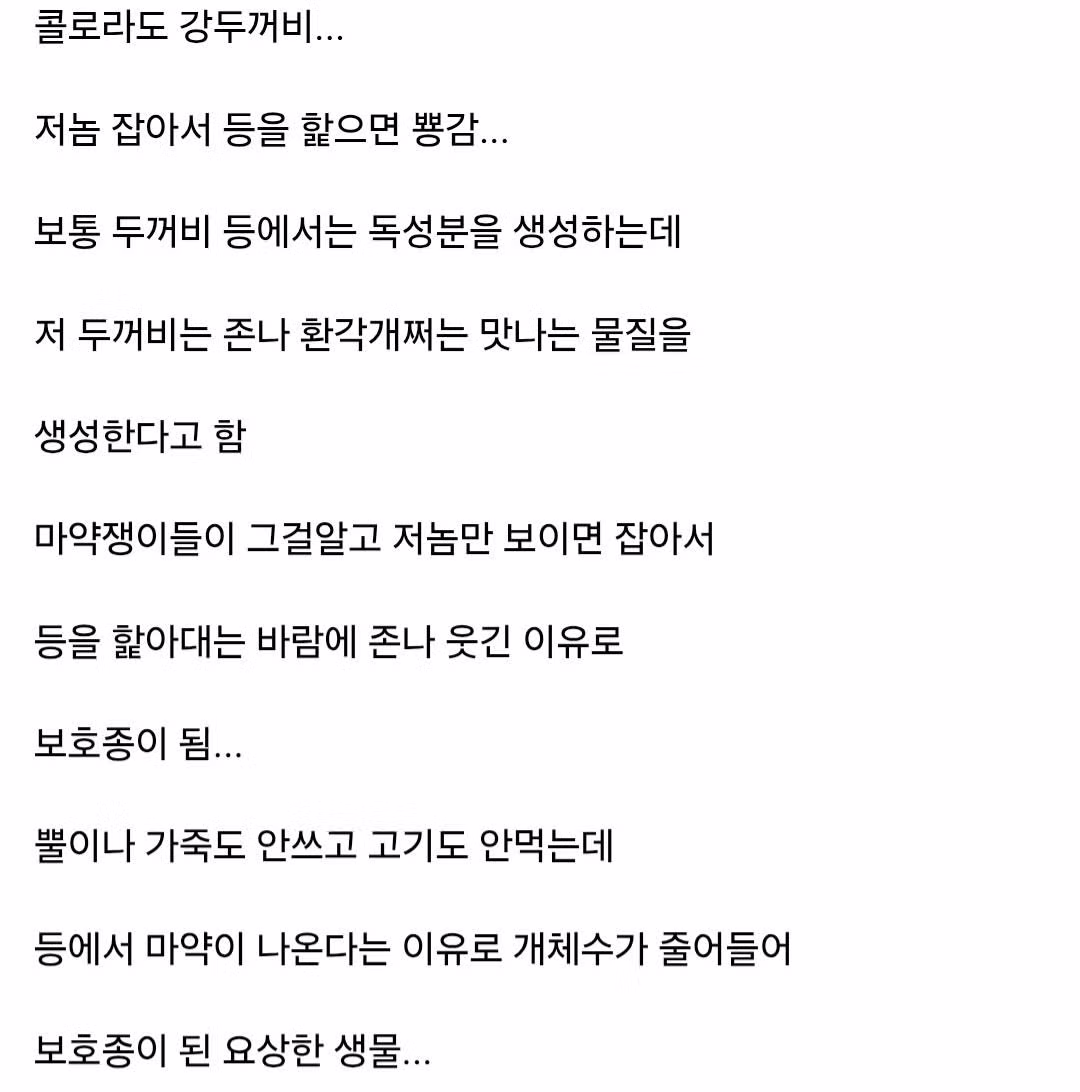 마약쟁이들이 좋아한다는 동물... 2