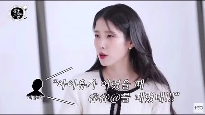 아이유, 못생겼다 이런 건 악플 아니다.jpg 7