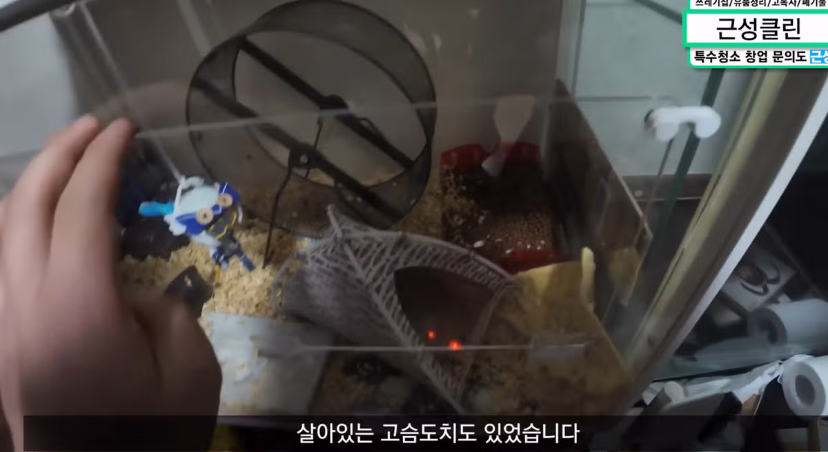 사망자의 물건을 훔친 업체직원 4