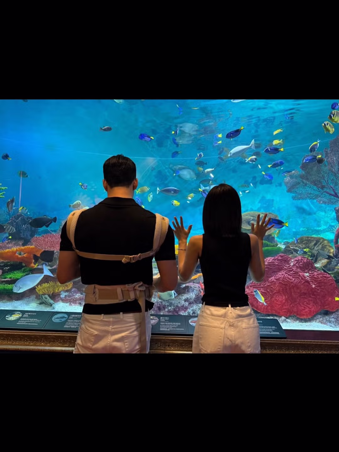 애낳은 앨리스 소희 근황ㄷㄷㄷ 4