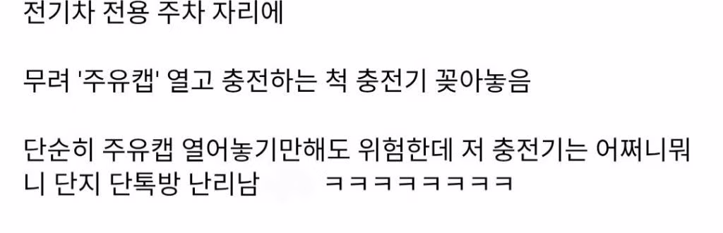 전기차 신종 빌런 2