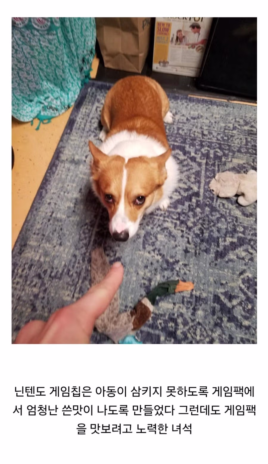 닌텐도 게임팩은 애들이 못먹도록 쓴맛이 나게 했습니다 2