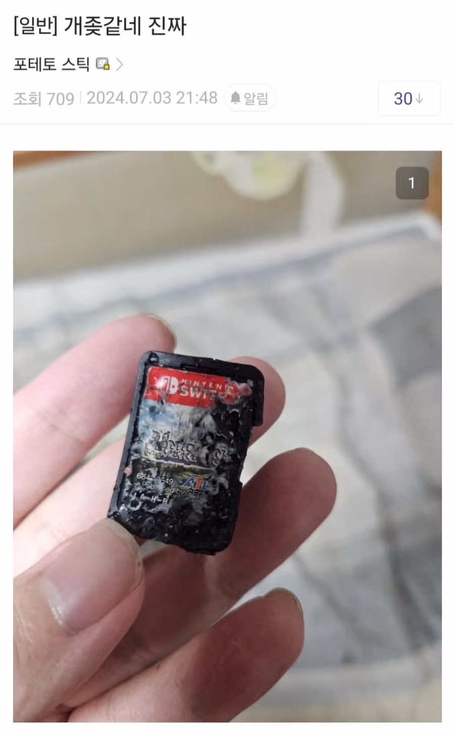 닌텐도 게임팩은 애들이 못먹도록 쓴맛이 나게 했습니다 3