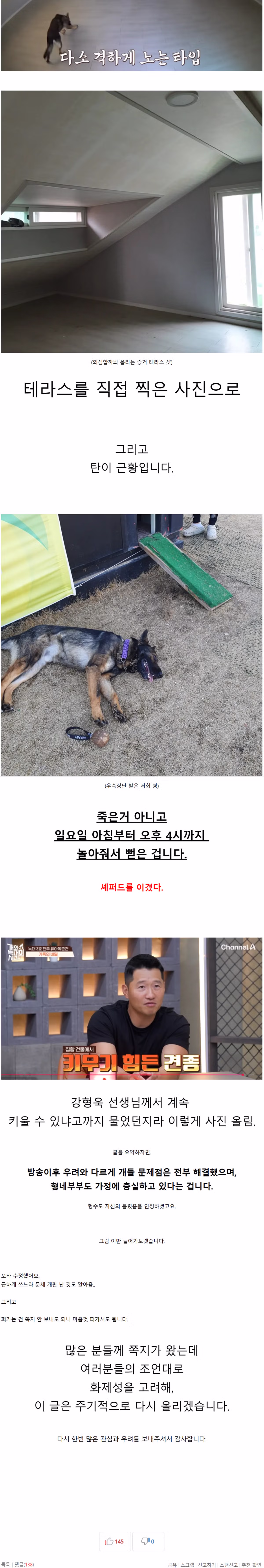 16개월 아기를 문 리트리버 근황 2