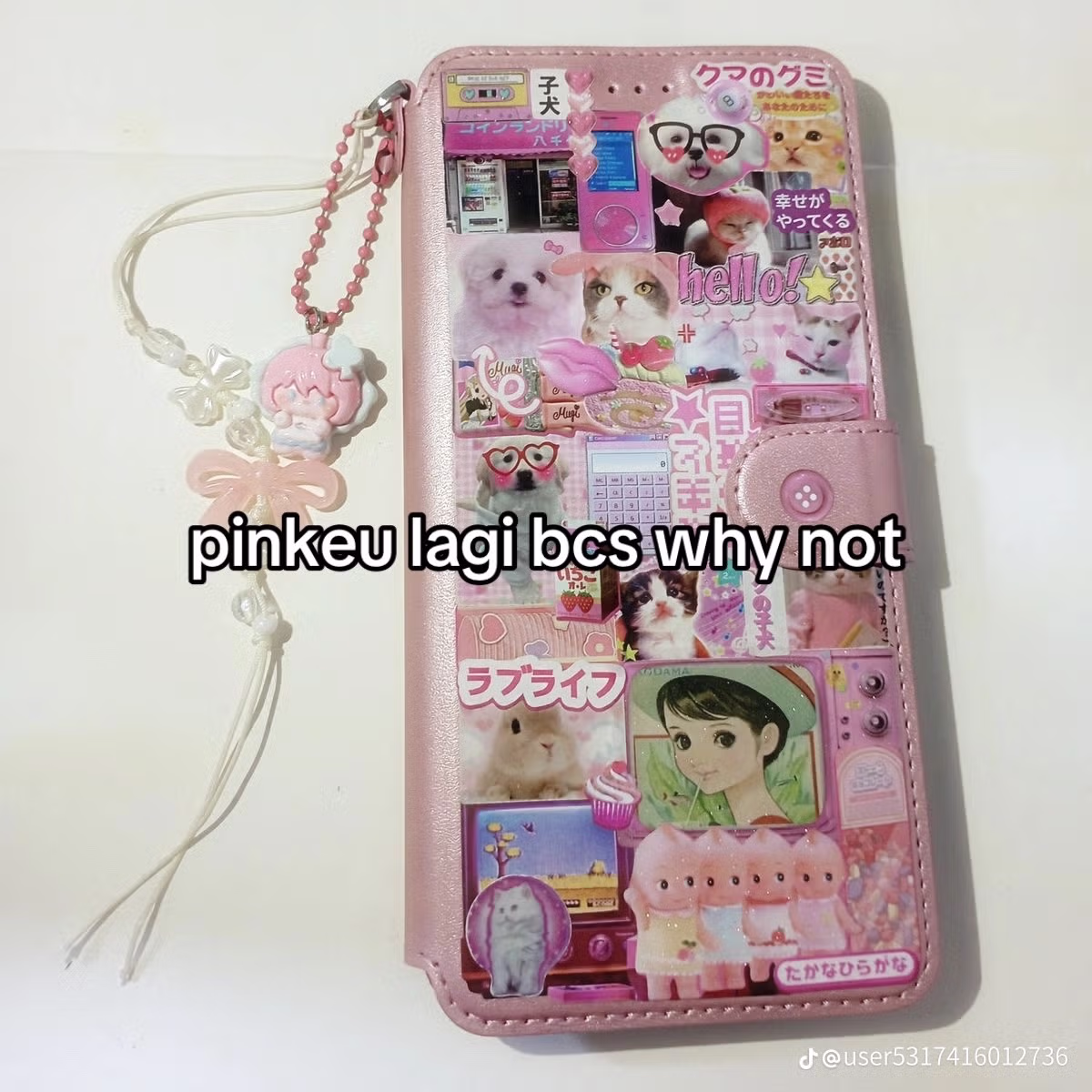 요즘 일본 젠지들 사이에서 유행하고 있는 폰케이스 5