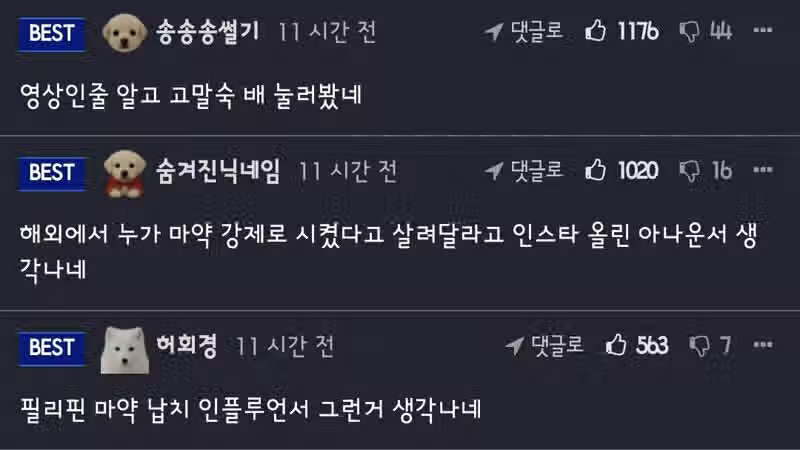 고말숙이 위험하다 판단하고 거절한 몇천짜리 파티 광고.jpg 2