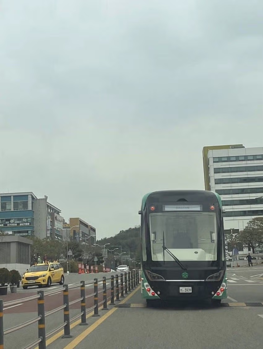 대전시 굴절버스 진짜 들여왔구나 3