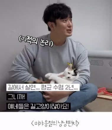 고양이를 12년간 임보한 사람 4