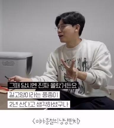 고양이를 12년간 임보한 사람 7