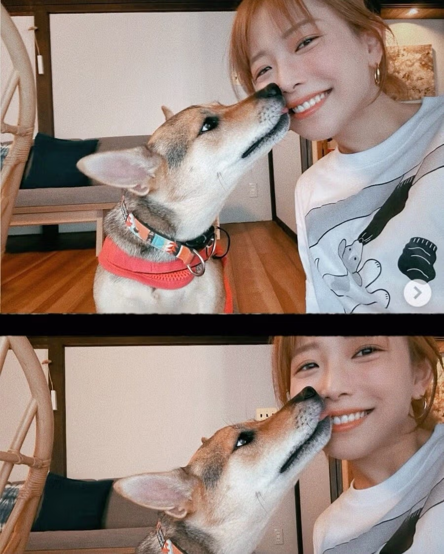 흔녀가 계속 av 배우활동 하는 이유 6