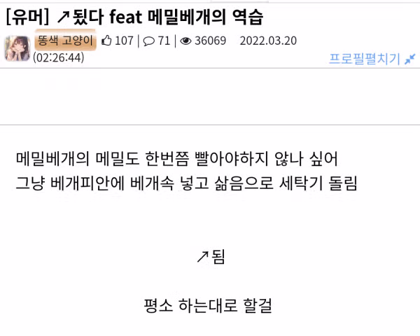 의외로 세탁기로도 가능한 것.jpg 2