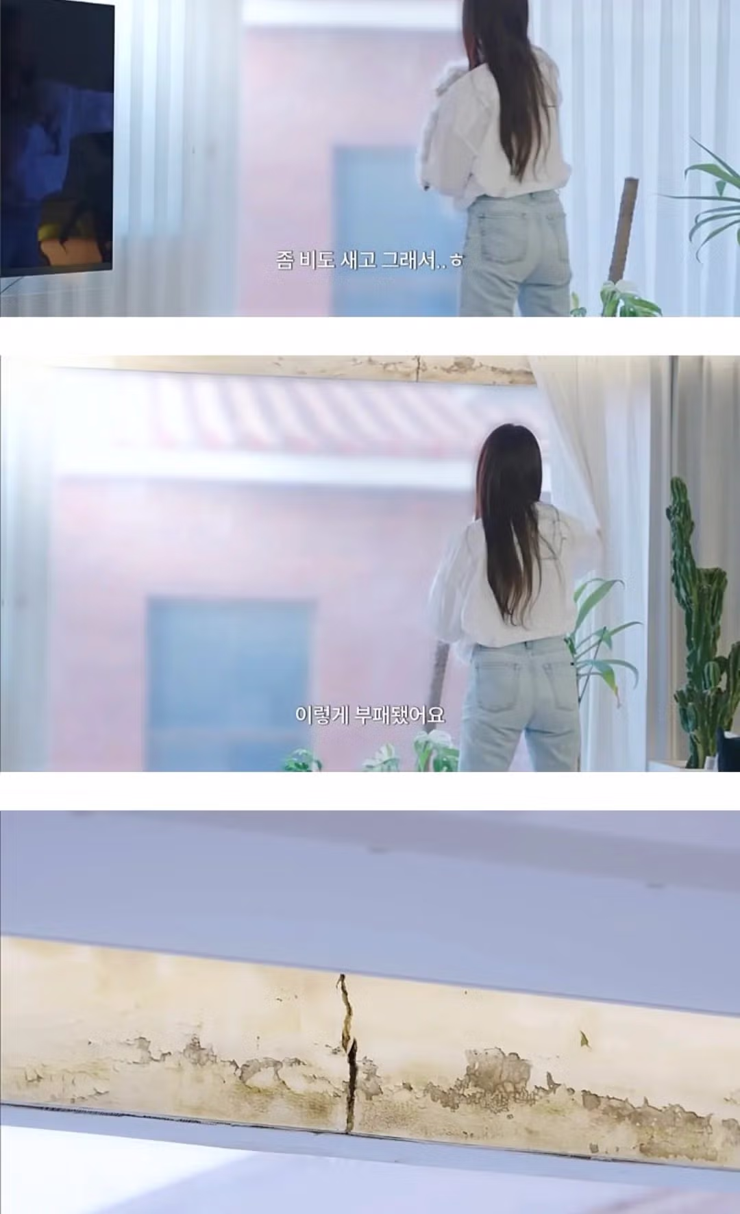 인테리어 사기 당한 김사랑 근황 4