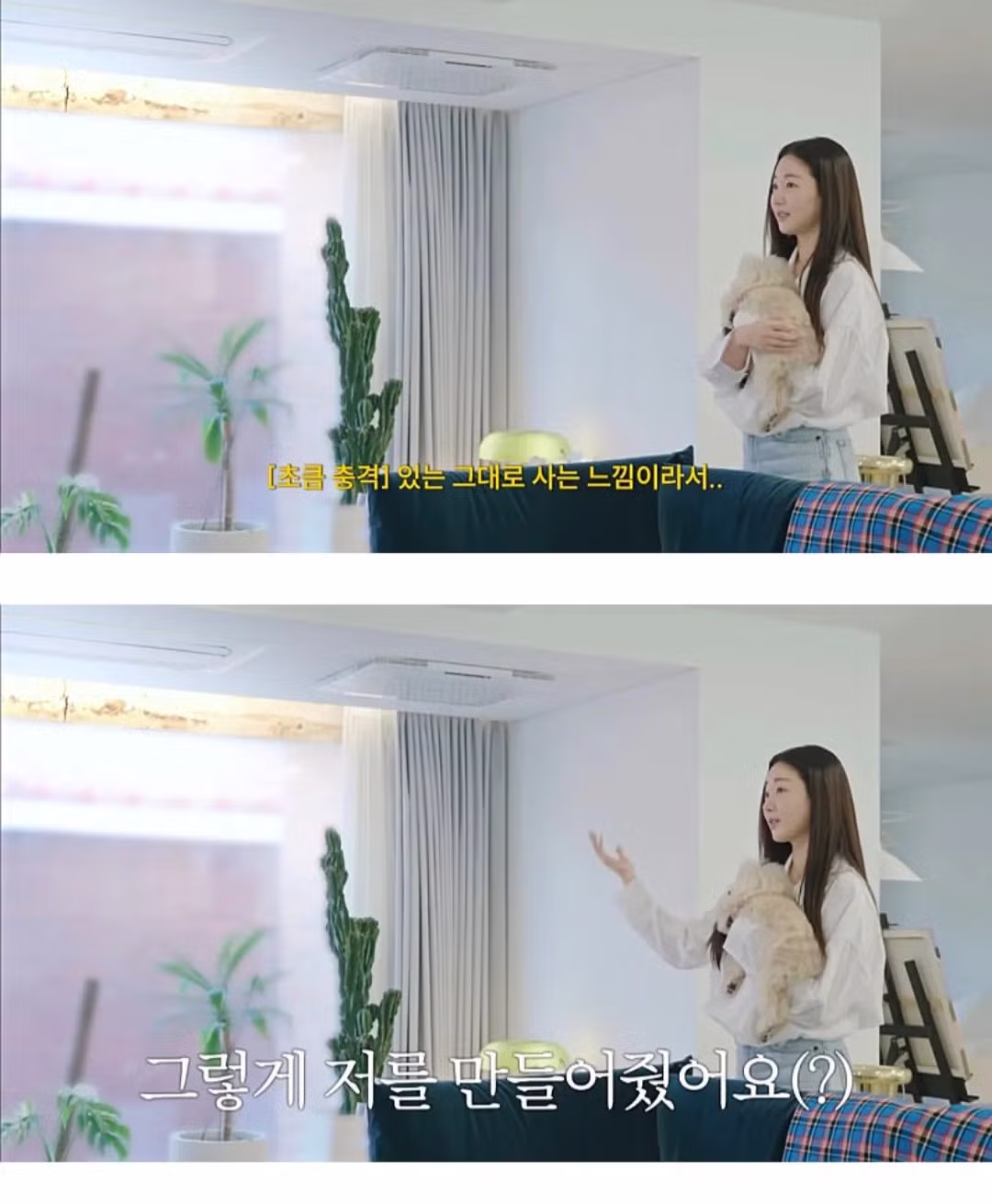 인테리어 사기 당한 김사랑 근황 11