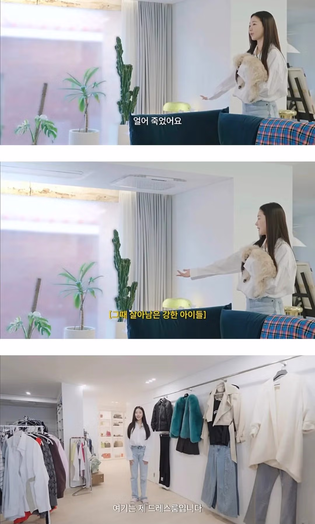 인테리어 사기 당한 김사랑 근황 16