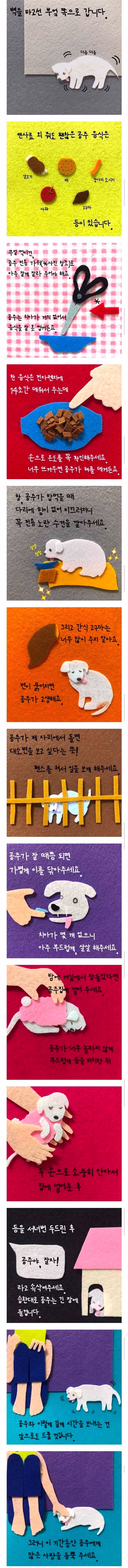 부모님이 십 년만에 부부동반 여행을 가셨다 서울에 사는 나는 나이든 개를 돌보기 위해 잠시 대전 본가로 왔다 2