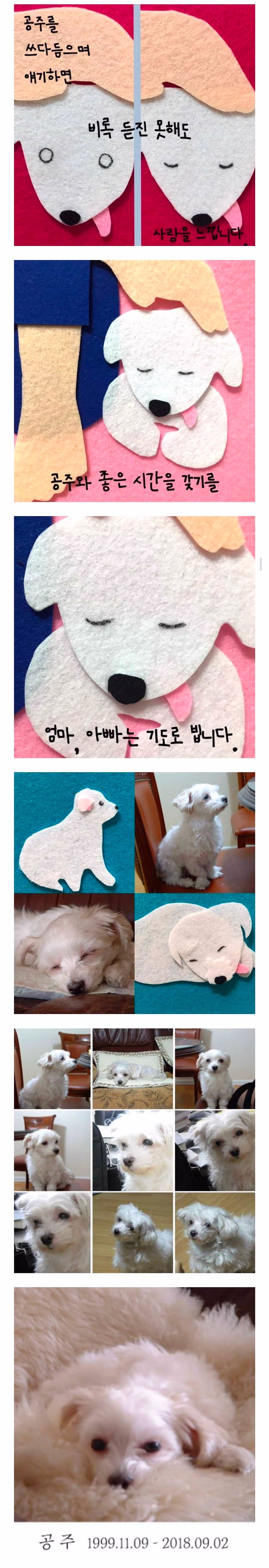 부모님이 십 년만에 부부동반 여행을 가셨다 서울에 사는 나는 나이든 개를 돌보기 위해 잠시 대전 본가로 왔다 3