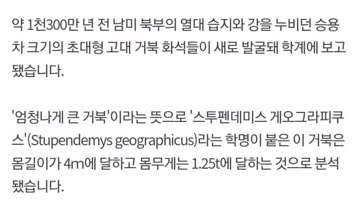 1300만 년 전 살았던 고대 거북이.jpg 6