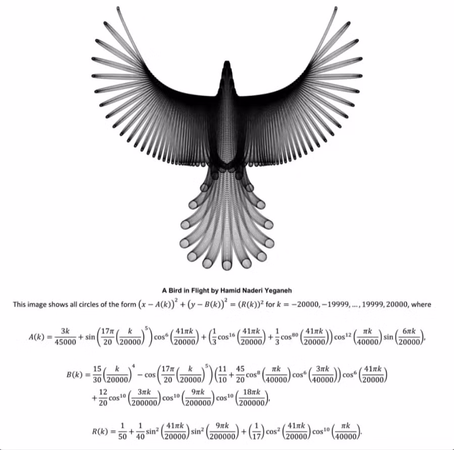 수학과 졸업작품 으로 퍼져있는 그림 정체 3