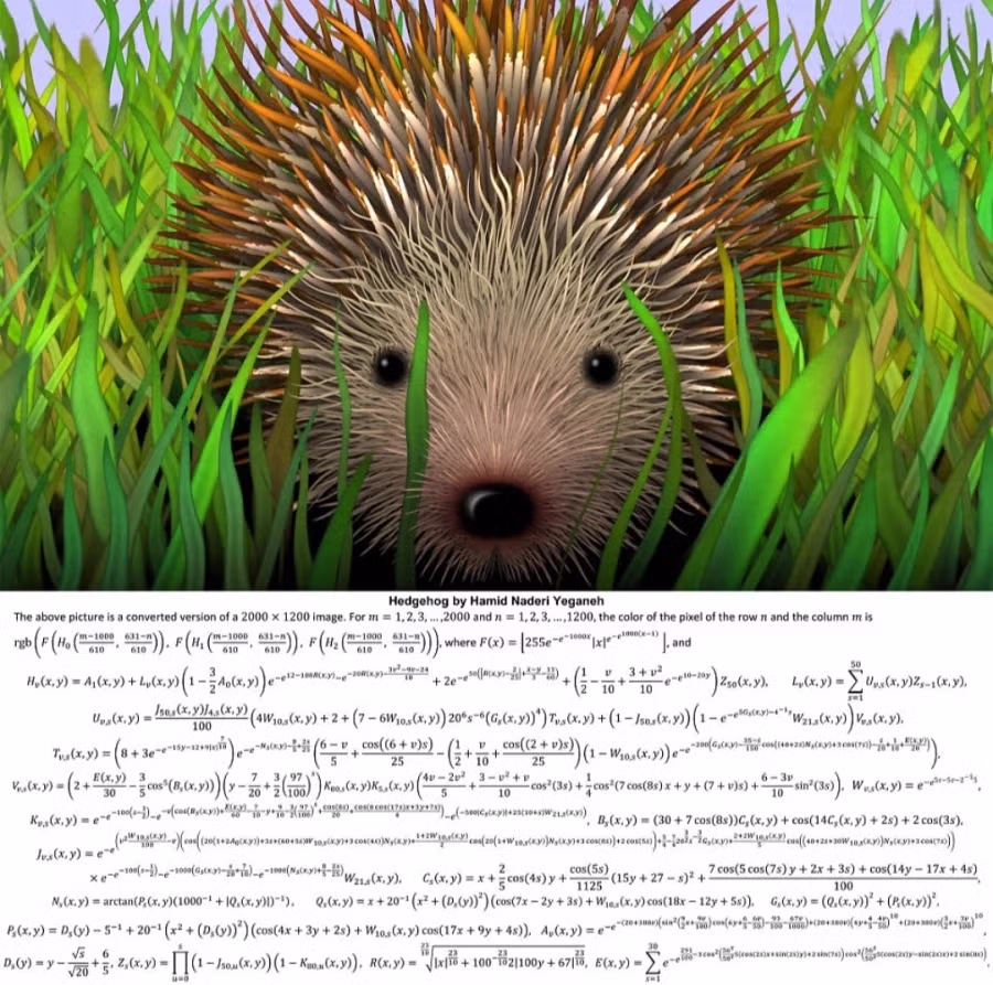 수학과 졸업작품 으로 퍼져있는 그림 정체 4