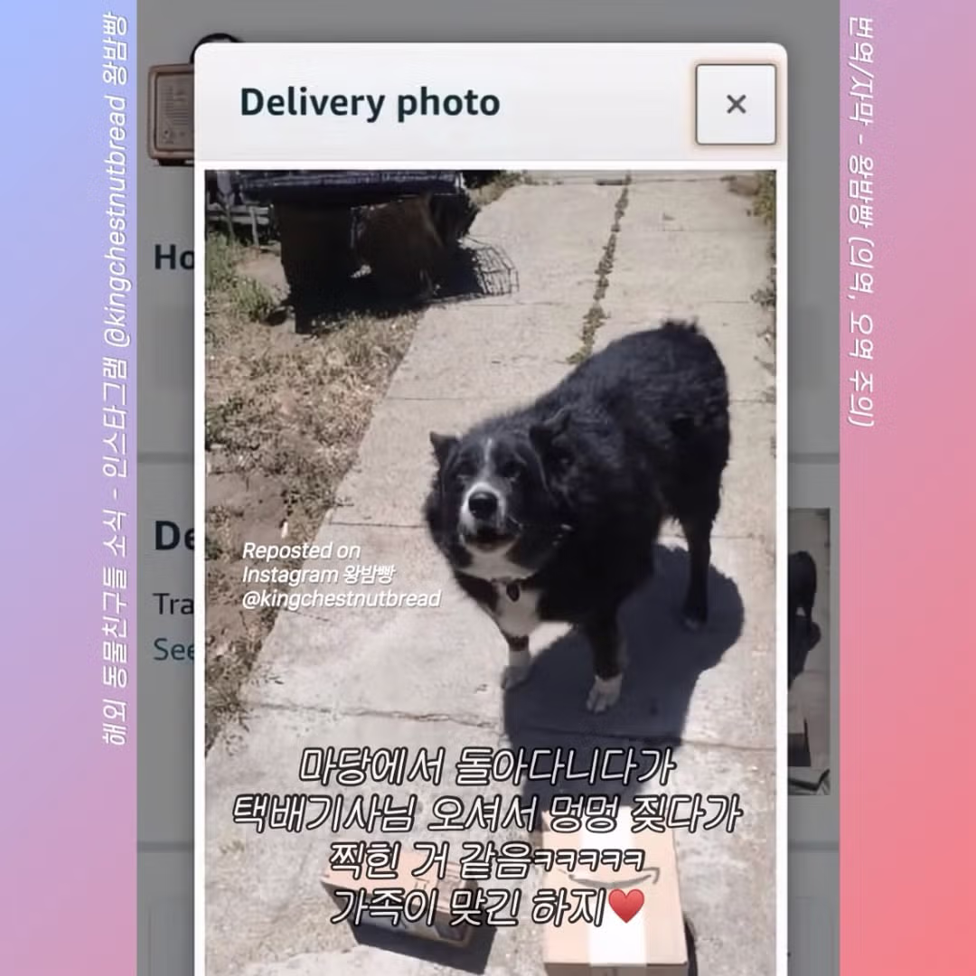 집에 아무도 없는데 가족이 수령했다고 배송완료 문자가 온거야... 2